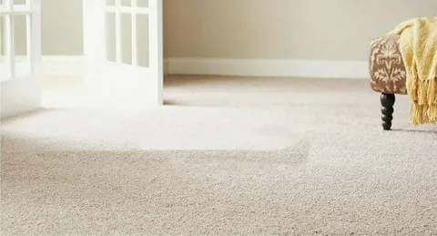 Carpet Maintenance