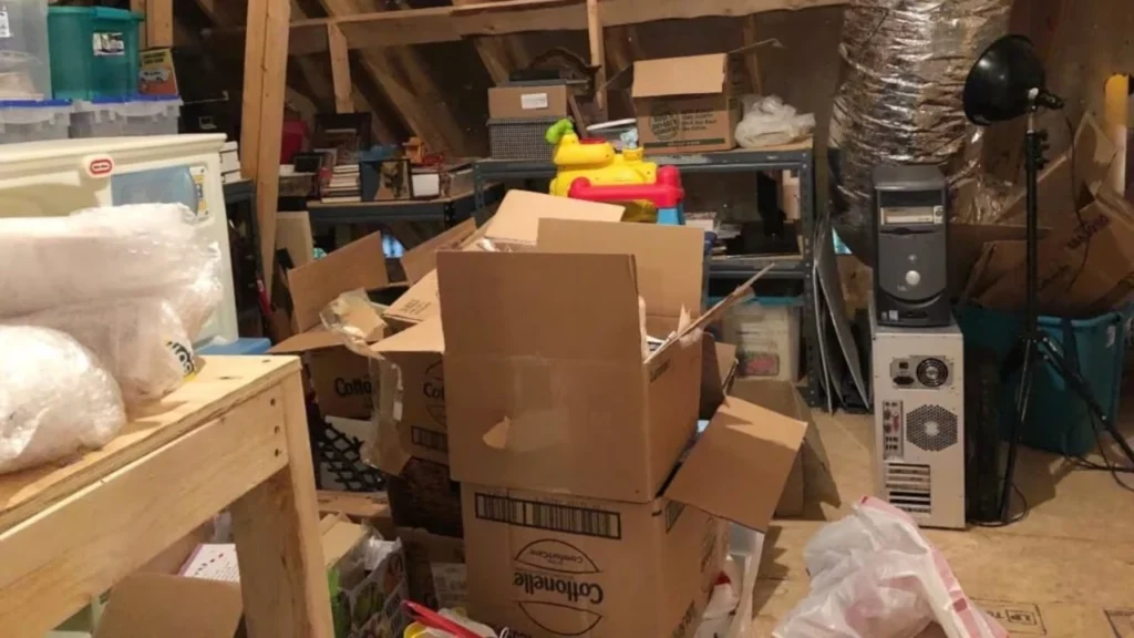Full Basement Declutter