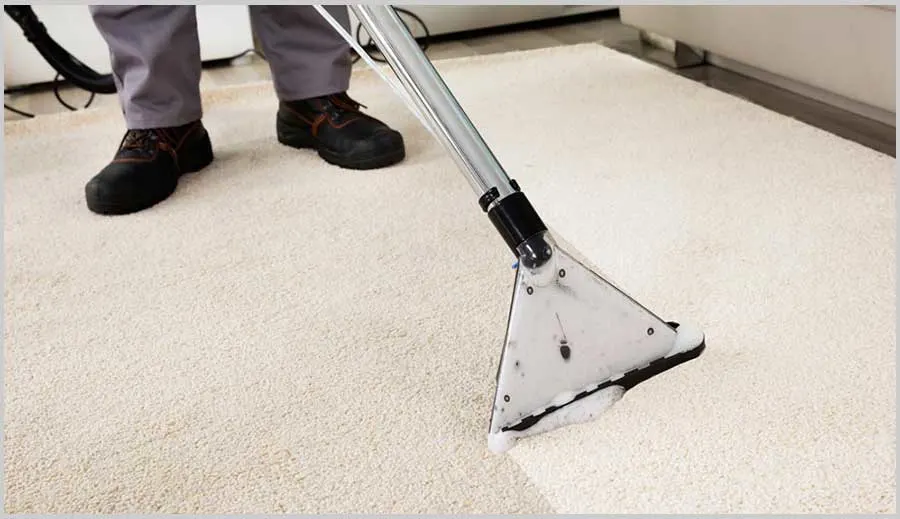 Choose the Right Local Carpet Cleaner