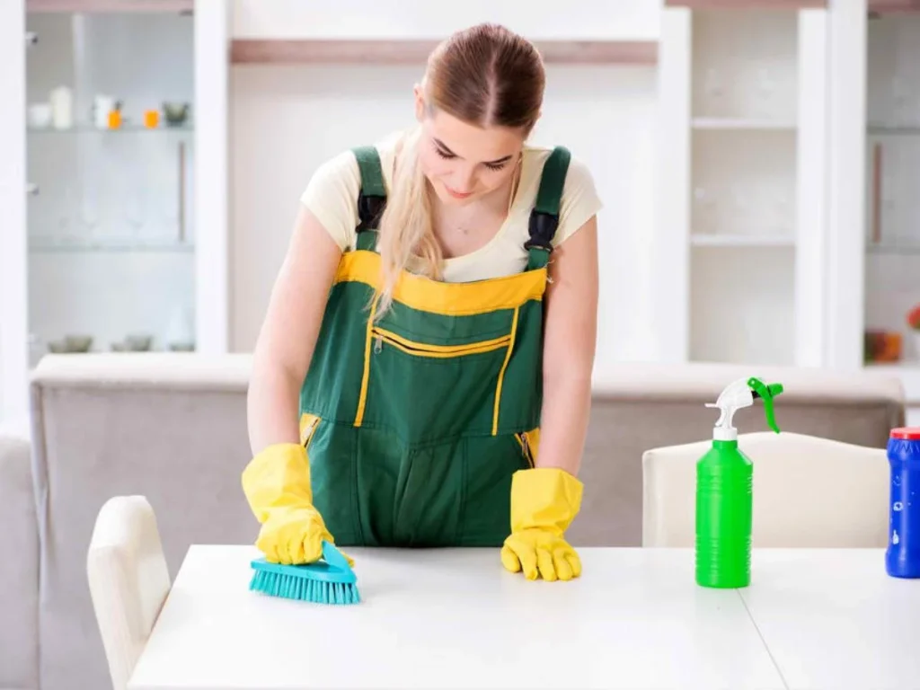Differences Between Basic And Professional Cleaning Services